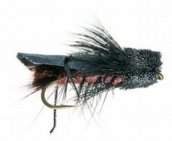 Dave Whitlock's Cricket fly