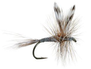 Fly of the Month Club-Adams Dry Fly