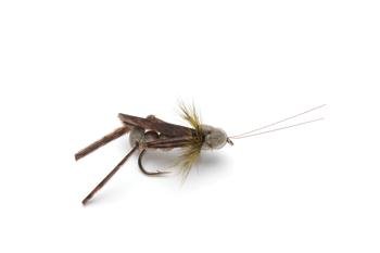 Fly of the Month Club-Irresistible Cricket Fly