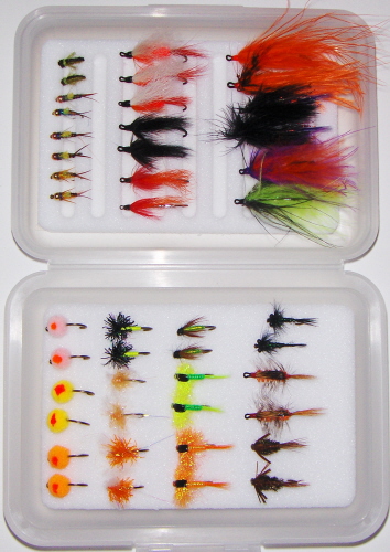Great Lakes Steelhead Fly Fishing Guides TheFlyStop