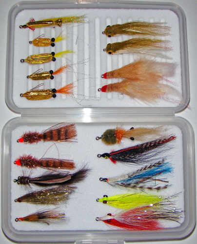 Fly of the Month Club-Redfish/Seatrout Master Fly Selection-36 Flies in  Multiple Fly Boxes