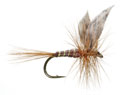 American March Brown Dry Fly <br /> #12 - March Brown