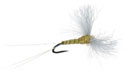 Callibatis Spinner Fly <br /> #14 - Callibaetis