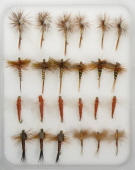 Insect Life Cycle Fly Selection - March Brown